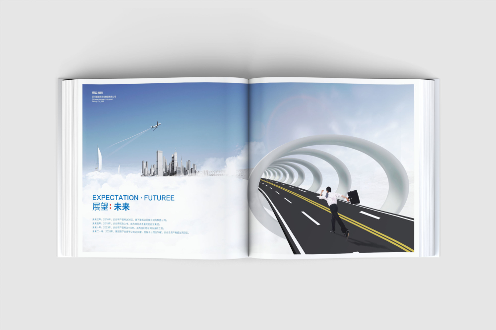 宁晋县画册设计